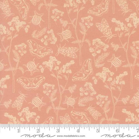 Herb Garden in Velvet -- Petalush by Kiley's Quilt Room -- Moda Fabrics
