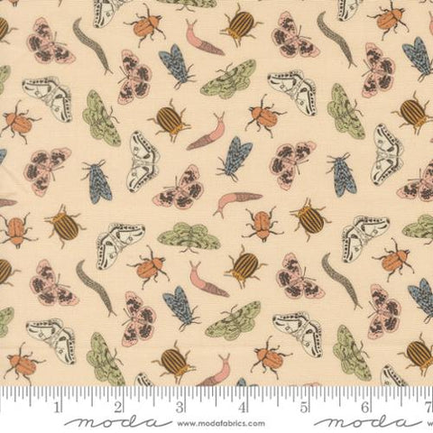Entomology in Ballerina -- Petalush by Kiley's Quilt Room -- Moda Fabrics