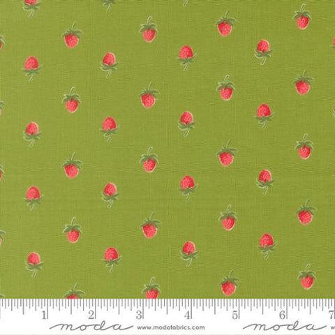 Berries Novelty Strawberries in Leaf -- Bloomsberry by Camille Roskelley -- Moda Fabrics