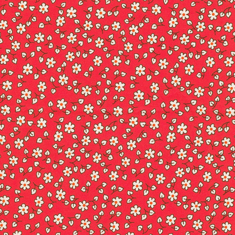 CAMELLIA from Fabric Market -- Robert Kaufman