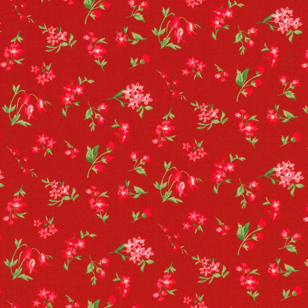 APPLE from Fabric Market -- Robert Kaufman