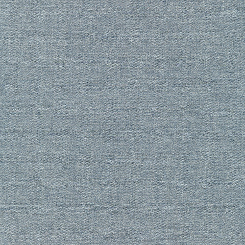 SILVER from Gilded Denim -- Robert Kaufman