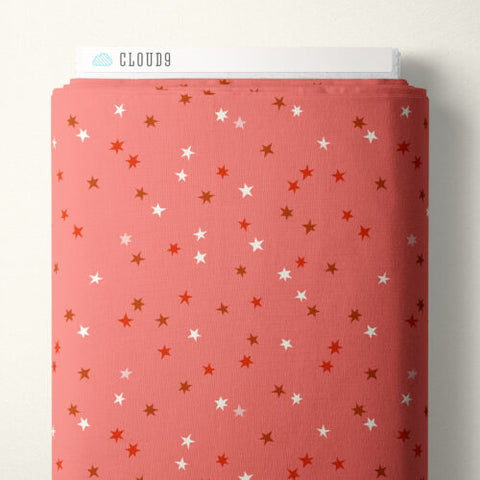 Holiday Sparkle | Pink -- Merry & Mod by Shelby Warwood -- Cloud 9