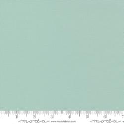 Moda Bella Home Town Sky ---  Terrain Cactus