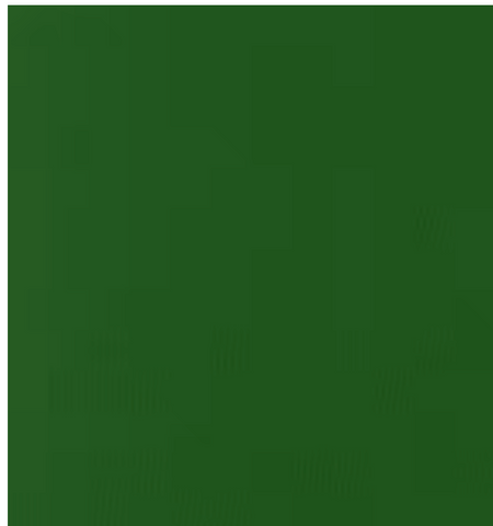 Evergreen from Laguna Cotton Jersey -- Robert Kaufman