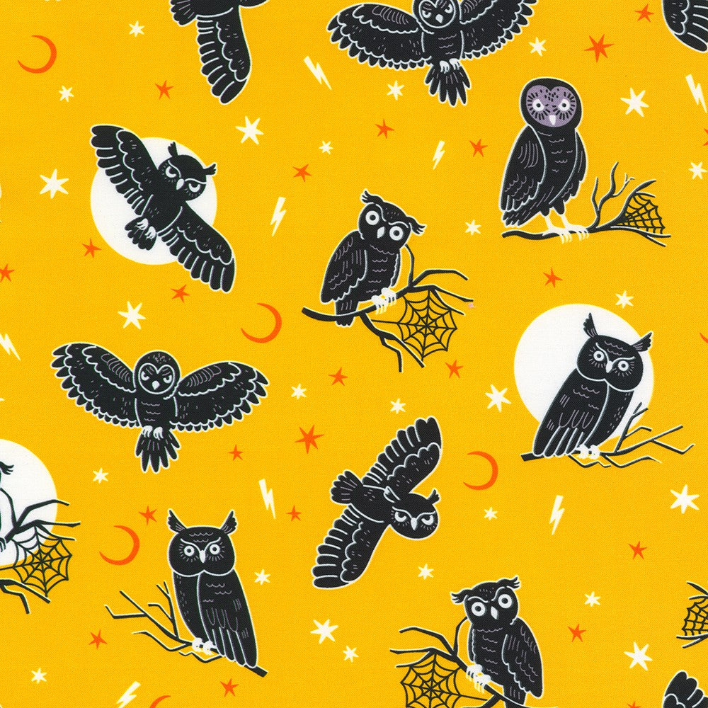 Owls in EMBER from Lights Out -- Robert Kaufman