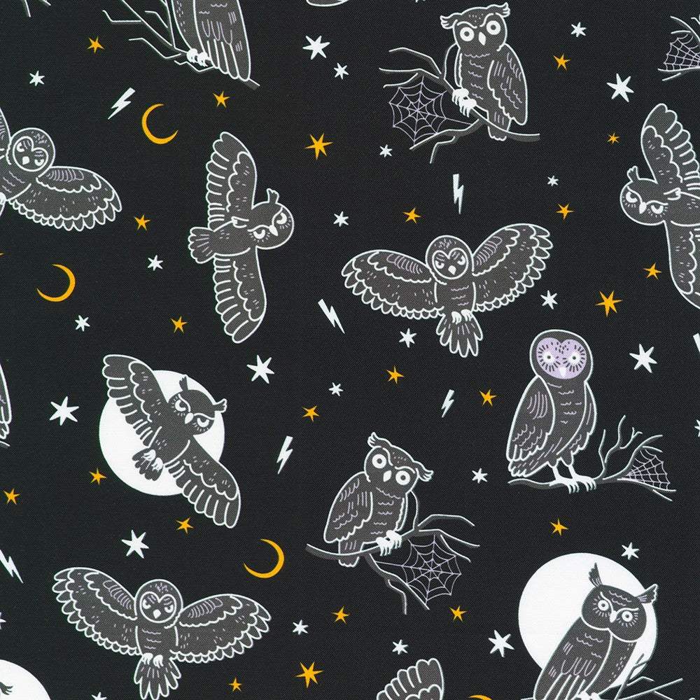 Owls in Night from Lights Out -- Robert Kaufman