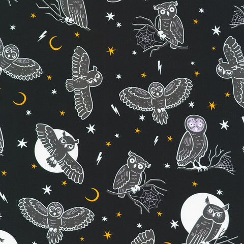 Owls in Night from Lights Out -- Robert Kaufman