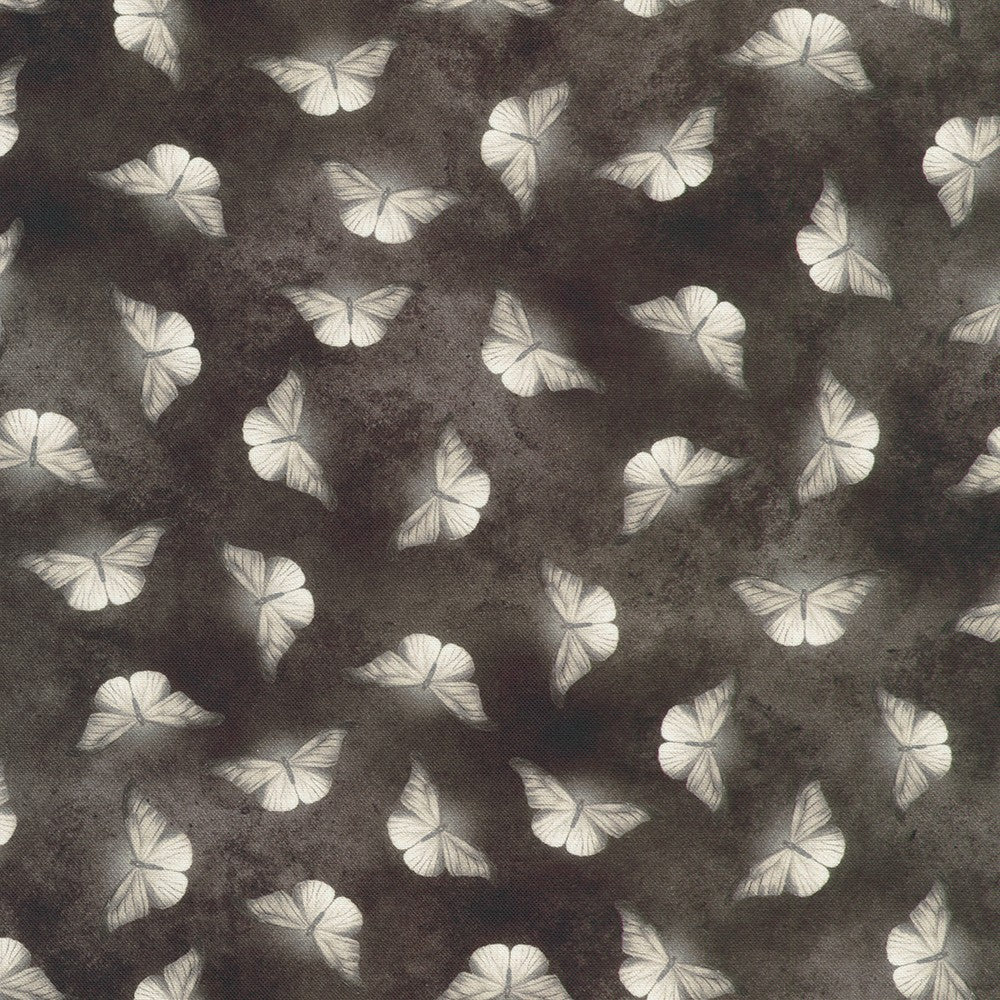 SHADOW moth from Ravenwood -- Robert Kaufman