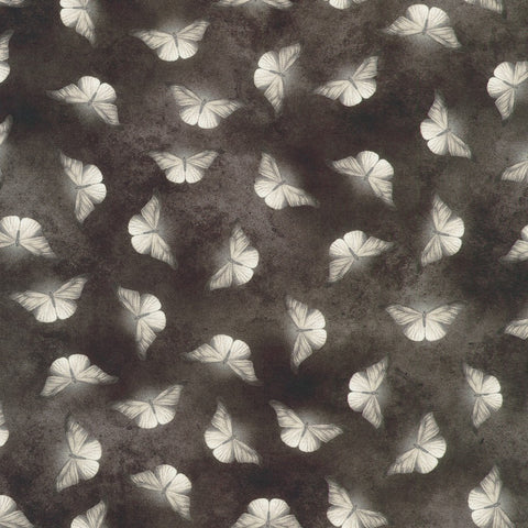 SHADOW moth from Ravenwood -- Robert Kaufman