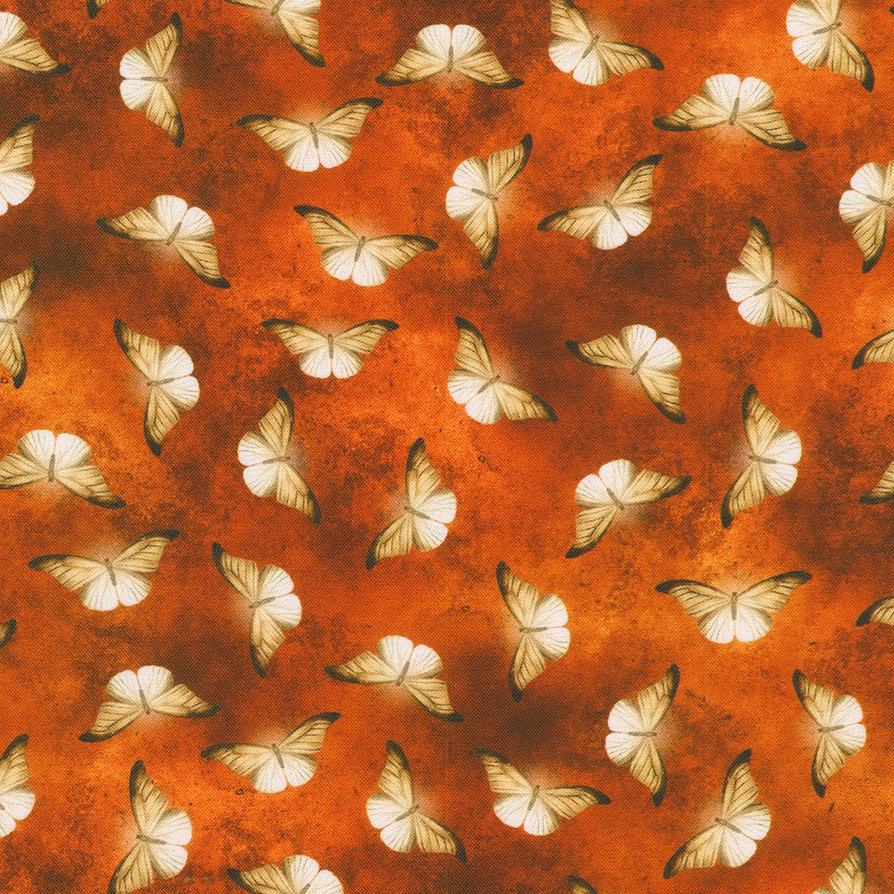 ORANGE SPICE moth from Ravenwood -- Robert Kaufman