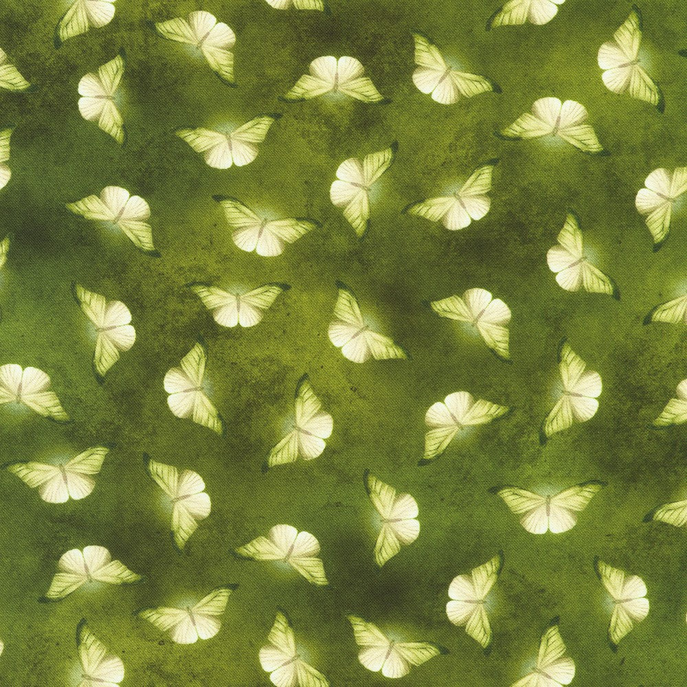 MOSS moth from Ravenwood -- Robert Kaufman