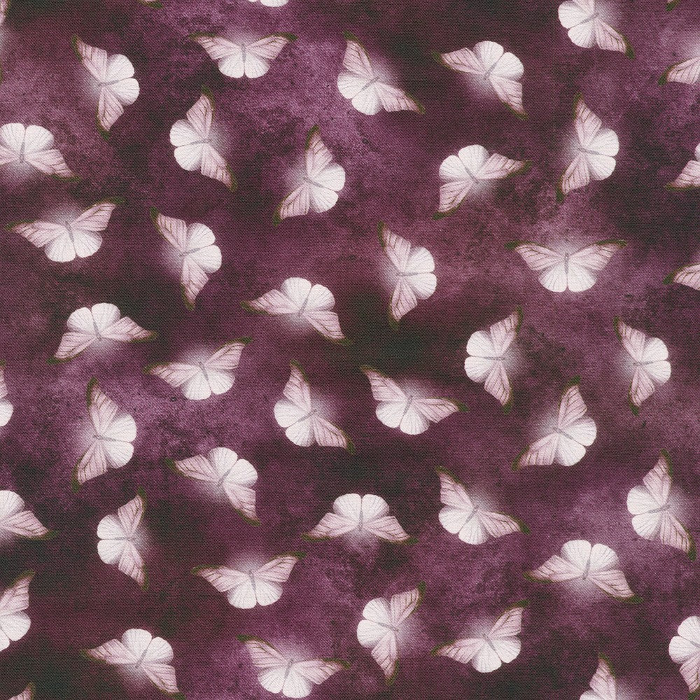 PURPLE moth from Ravenwood -- Robert Kaufman