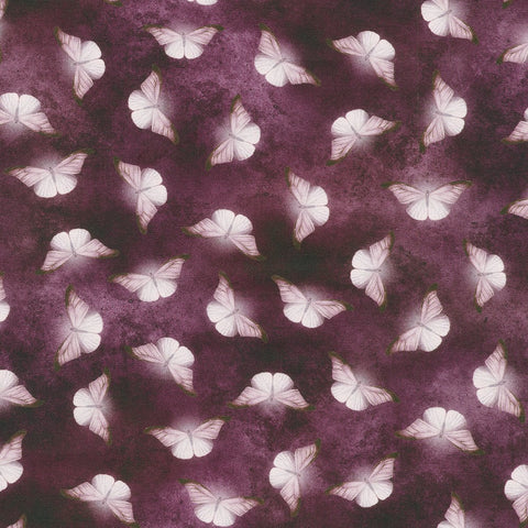 PURPLE moth from Ravenwood -- Robert Kaufman