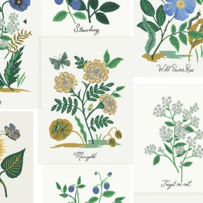 Botanical Prints - Blue Multi Canvas -- Curio by Rifle Paper Co. for Cotton + Steel Fabrics