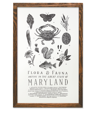 Maryland Field Guide