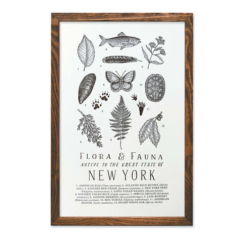 New York Field Guide