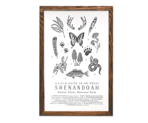 Shenandoah National Park Field Guide