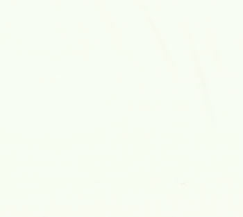 Bella Solid Bleached PFD White -- Moda Fabrics