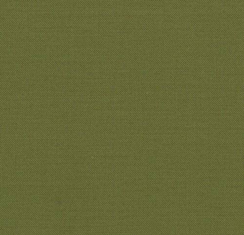 Moda Bella Solids ---  Terrain Cactus