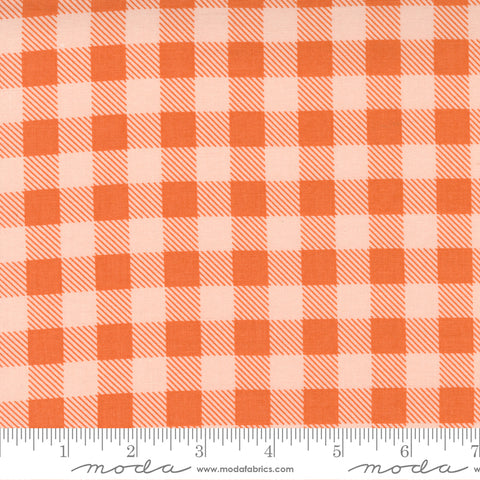 Check in Strawberry  -- Make Time by Aneela Hoey --- Moda Fabric