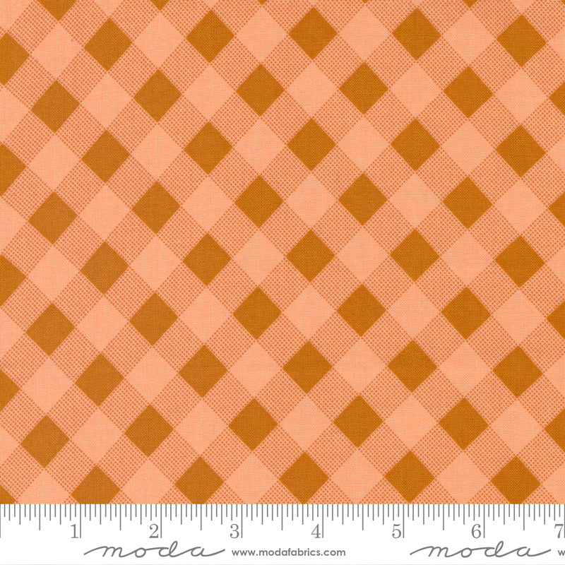Picnic Check in Peach -- Meander by Aneela Hoey --- Moda Fabric