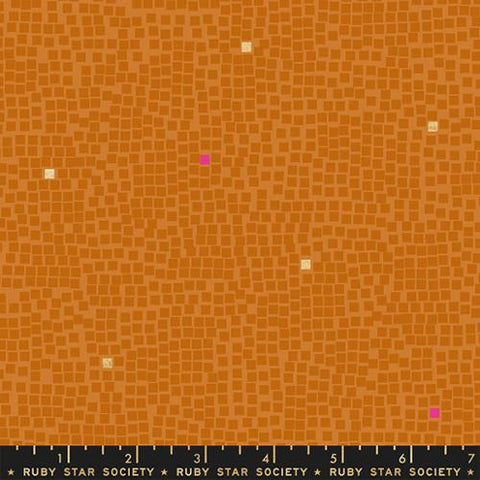Pixels in Earth --  Rashida Coleman-Hale for Ruby Star Society -- Moda Fabric