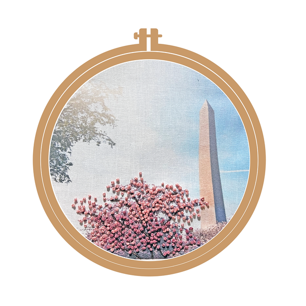 DC in Bloom | Cherry Blossoms | Embroidery Kit -- The Other Cat Embroidery