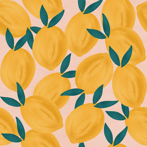 Becki Clark Lemons Peach Cotton Linen  -- Nerida Hansen