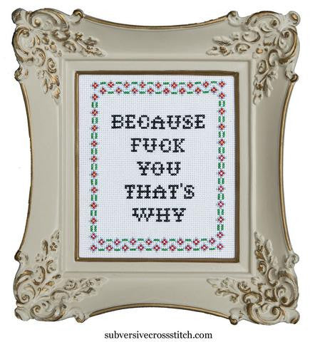 Subversive Cross Stitch-- Cross Stitch Kit-- Because Fuck You That's Why
