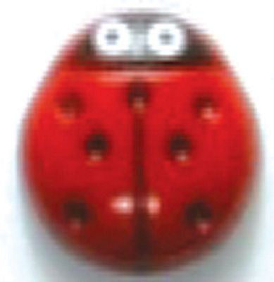 Dill Button  Ladybug