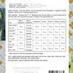 The Backbone Quilt Pattern by Carolyn Friedlander