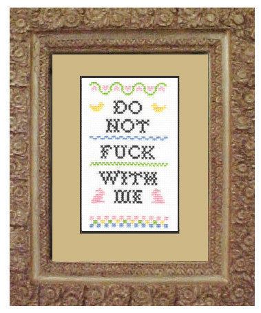 Subversive Cross Stitch-- Cross Stitch Kit-- Do Not Fuck With Me